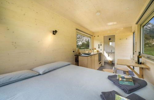 Rallentare tra i colori della valle dell'Arzino - Foto 14