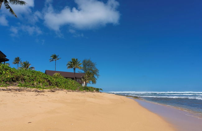 Hanalei Colony Resort C4 - Foto 29