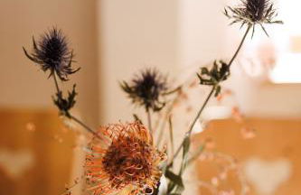 Die Suttenhütte - Foto 52