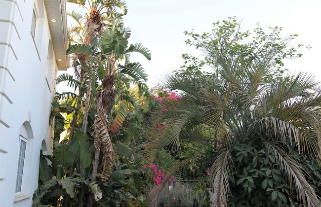 Gorgeous Mansion by Caesarea's Greatest Beach-hosted by Sweetstay - Foto 43