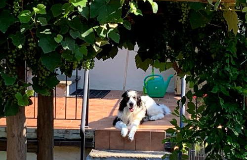 La Torre del Vicario - Foto 24