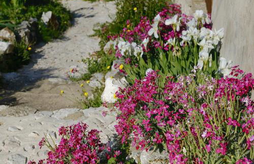 Apartment Cacini Dvori - Foto 26