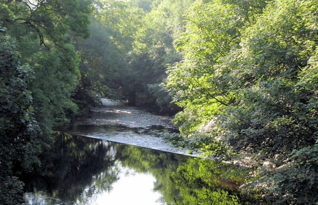 Croft Mill - Apartments - Foto 61