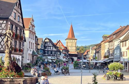 Coucou - Nest im Schwarzwald - Foto 19