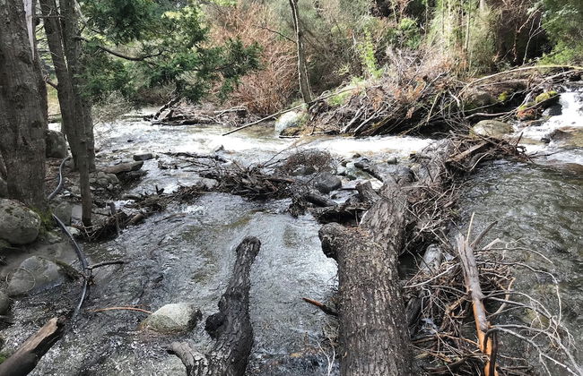 Amazing 5 Bedrooms Chalet in Villa Traful VT1 by Apartments Bariloche - Foto 65