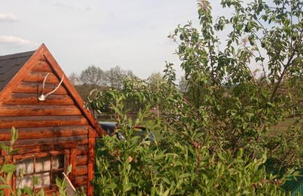 KOTA Finlandais bien être , les gîtes de l'étang - Foto 12