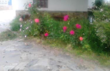 Apartamentos Rurales el Ferreirón - Foto 42