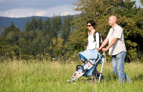 Ferienwohnungen Golla-lang - Foto 32