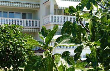 Apartments Gorančica - Foto 54