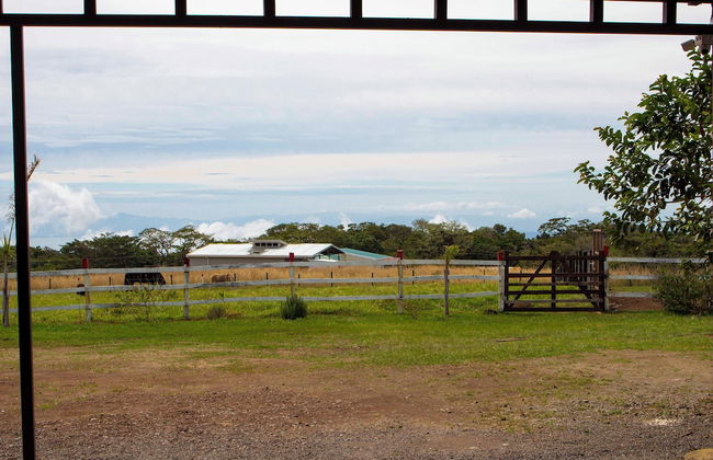 Almore Hotel - Foto 71