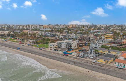 The Shining Sea Crab - Foto 35