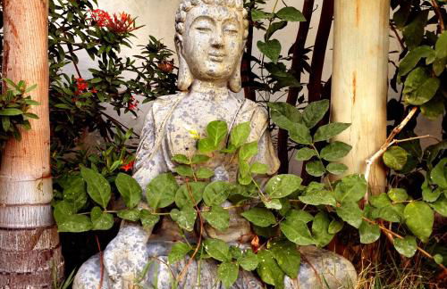 Casa Dos Patos - Foto 46