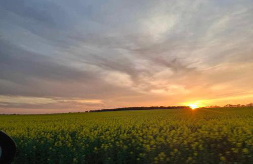 Domki na Wzgorzu - Foto 17