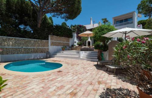 Vila Antic - Photo 24