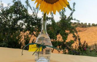 Agriturismo Magna Mater Agriculturae - Foto 38