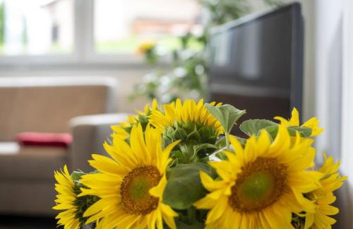 Hof am Horn - Fewos in der Natur - Photo 34