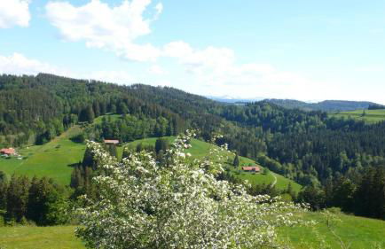 Ferienwohnung Wild - Foto 17