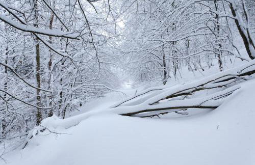 Family home with sauna, 12p - Foto 44