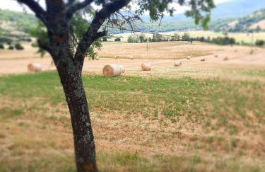 Apartman Peregrinus - Foto 40