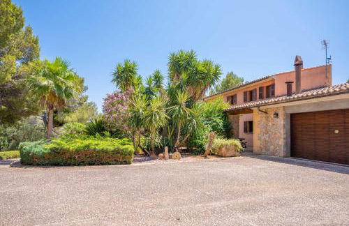 Can Toni Gat - Foto 54