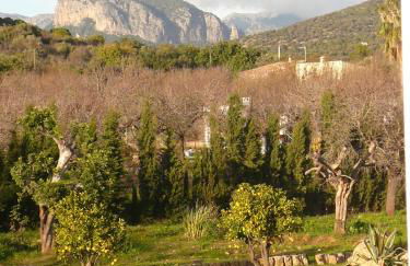Son Jordi nou, beautiful villa near Alaro big swimming pool, BBQ mountain views 12people - Foto 59