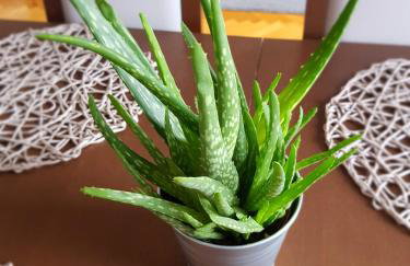 Wygodny Przestronny Apartament Janowskie Błonia Rumia - Foto 15