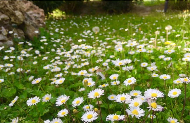 Agriturismo Le Cascatelle - Foto 31