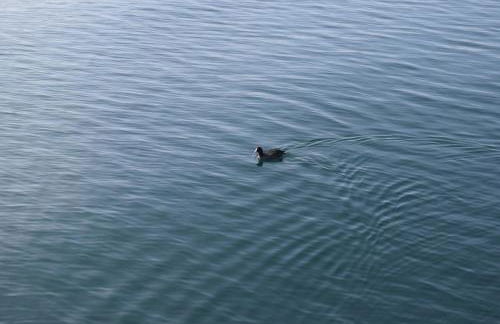 Haus Bodanblick - Foto 10