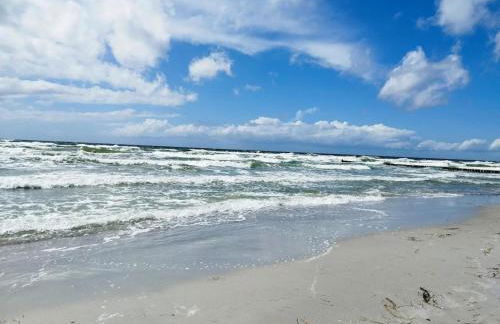 Appartements Post Hiddensee, Vitte - Foto 44