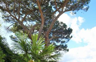 Appartement Trafoier - Foto 51