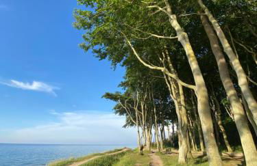 HYGG INN Ferienhaus - Foto 58