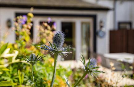 Garden Cottage, Crail - Foto 58