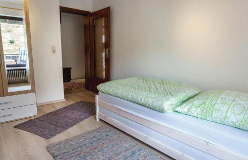 Nice Apartment In Hornberg With Wifi - Foto 8