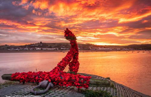 Catboat Cottage - Foto 45