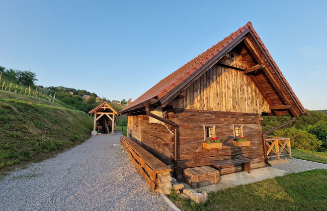 Vineyard cottage Vinska grajska kašča - Foto 1