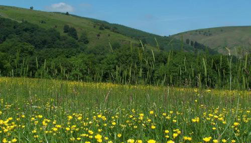 Stunning cottage nestled under the Longmynd Hills. - Foto 4