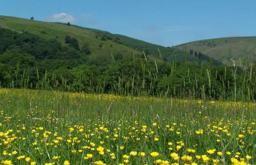 Stunning cottage nestled under the Longmynd Hills. - Foto 4