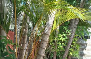 Hospedagem Canto Das Pedras - Foto 17