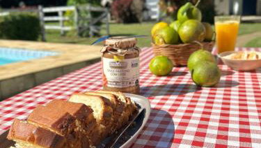 Casarão Miguel Pereira - Refúgio na Natureza com Lareira Externa, Piscina, Fondue e Amplo Jardim - 12 Min do Parque Terra dos Dinos - Foto 4