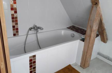 Au coeur des marais - Foto 8