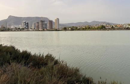 Abracadabra Calpe - Photo 69