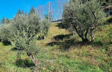 All ' ombra del lauro - Foto 28