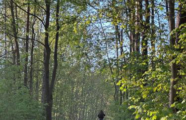 Domek nad Szelągiem - Foto 26