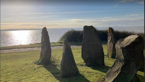 Pomegranate - Photo 3