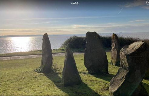 Pomegranate - Foto 3