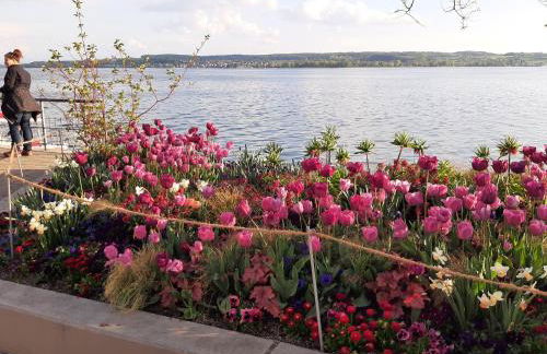 Ferienwohnung mit Seeblick und PKW Abstellplatz am Haus - Foto 20