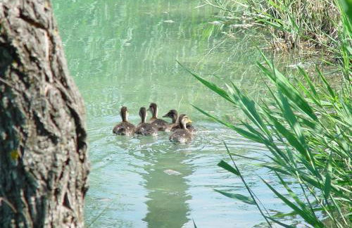 Agriturismo La Sovana - Photo 136