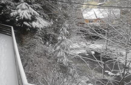 Hummingbird downtown water view apartment - Foto 17