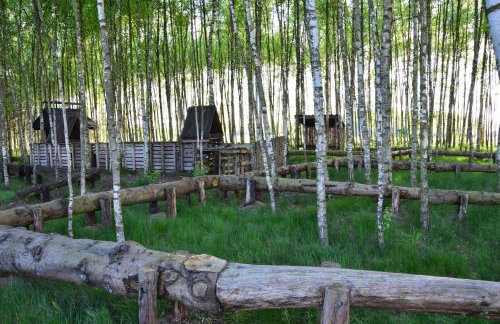 Dolina Bobrów - Foto 27