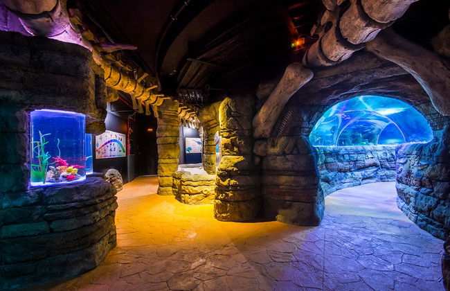 Sea Life Benalmádena - Ticket - Foto 3